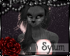 /Sy/ Uimrose Cat
