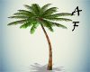 (AF) Animated Palm