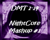 Nightcore Mashup #1