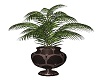 MJ-Hazel Planter 2