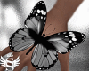 Butterfly Hand Animated