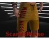 Iron Man Shorts