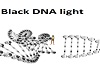 Black DNA light