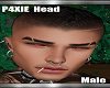P$XIE Head