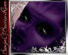[B]Purple-Devil[Bundle]