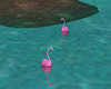 ♫PINK Flamingos