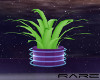 (R)Galaxy plant