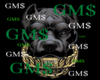 GMS-FULL OUTFIT