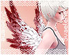 Tiny Angel Wings |Bloody