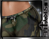 Army Pants/camo
