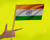 India Handheld Flag