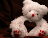 Teddy bear love2