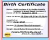 Birth Certificate 5