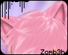 z | Cat Ears - Sugar