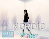 NORDIC BACKGROUND