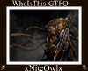WhoIsThis-GTFO