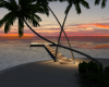 wedding island