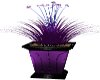 []Purple wave plant
