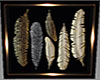Picture Frame Feather