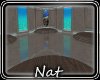 NT Aquarium Club
