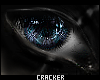 ! c: | .tinsel. 1.f
