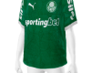 camisa palmeiras
