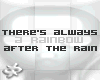 dp`s Rain & Rainbow