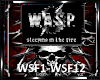 *W.A.S.P Sleeping...