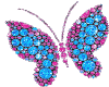 Blue and Pink Butterfly