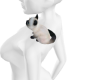shoulder cat pet
