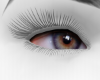 Violet eyes