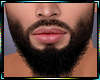 Beard  PK