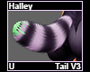 Halley Tail V3