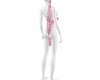 pink amimated ak