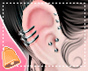 🔔 Steel Piercings R