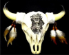 BULL SKULL PIC -2