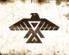 Chippewa Nation