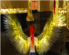 Unisex gold wings