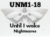 Until I wake Nightmares