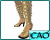 CAO Gold Gladiator Shoes
