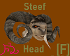 Steef Head [F]