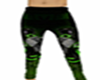 roman broek