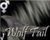 [J-O]Gray Wolf Tail