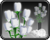 -S- White Roses and Vase