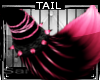 Burlesque * Tail V3