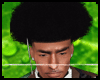 Heads steevens
