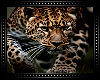 ♔ Leopard Hunting BG