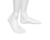 Female Shoe Base