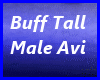 ! Tall n Sexy Buff M Avi
