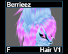 Berrieez Hair F V1
